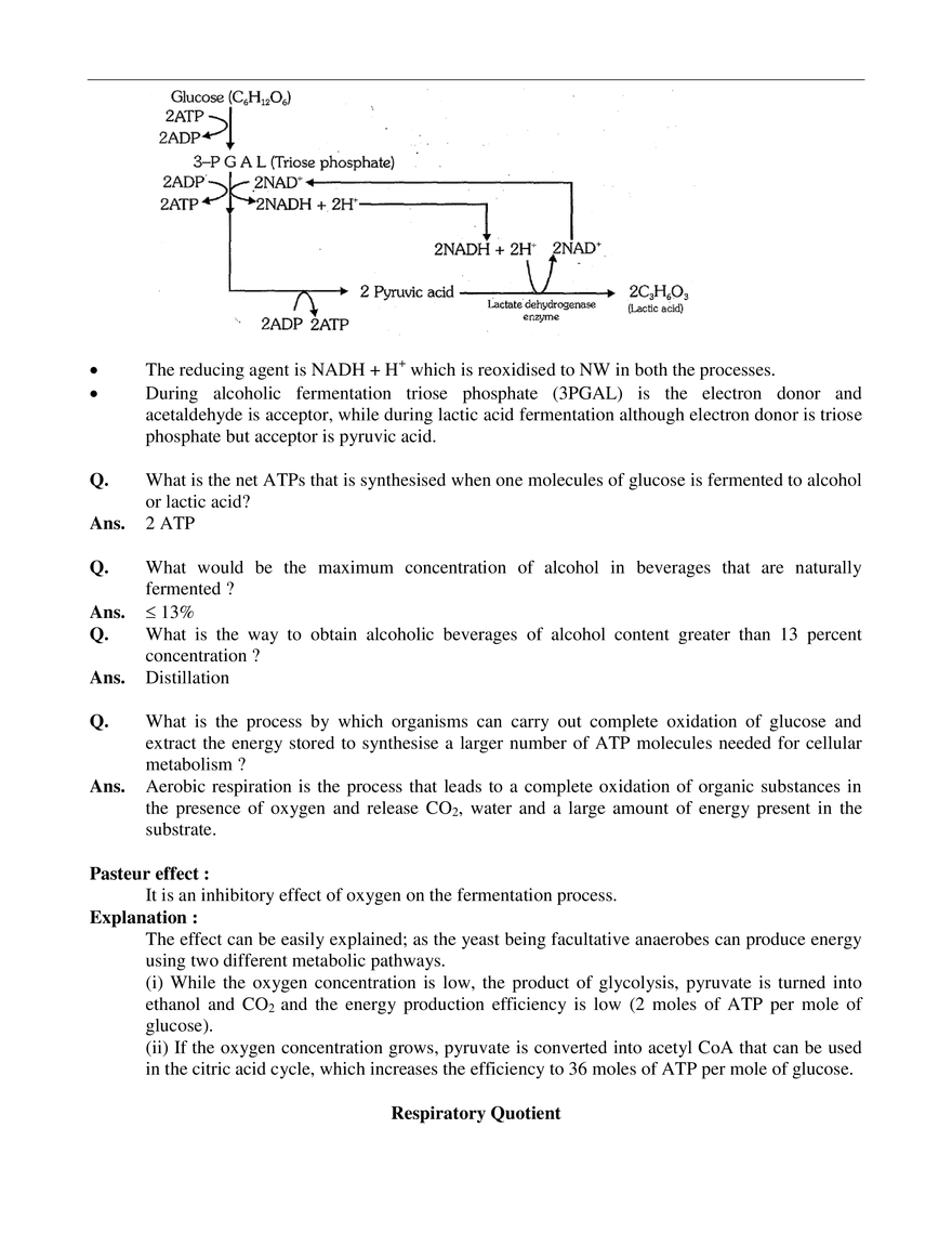 Respiration in Plants - Page 4