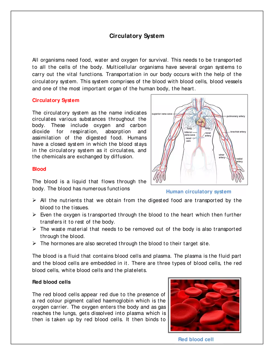 Human Circulatory System - Page 1