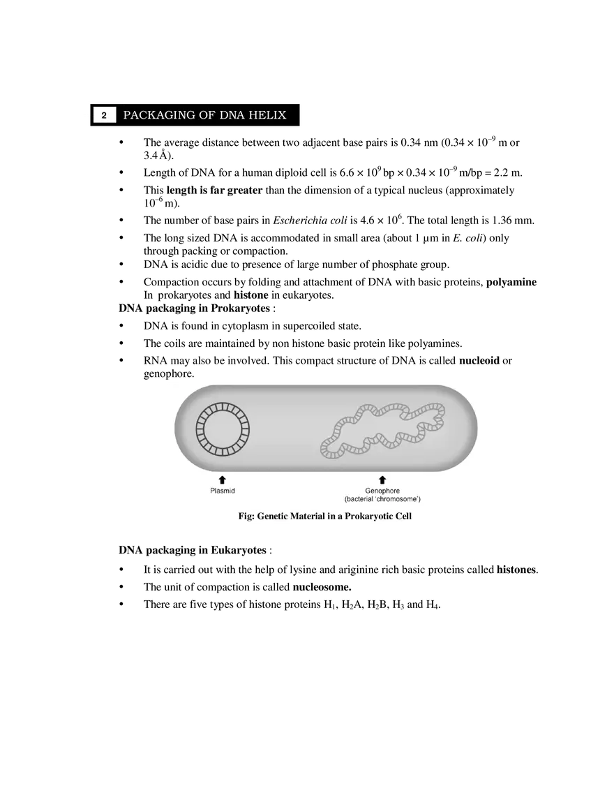 2  Packaging of DNA Helix - Page 1