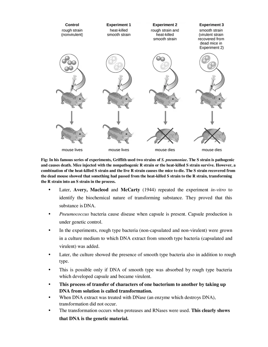 3  The Search for Genetic Material - Page 2