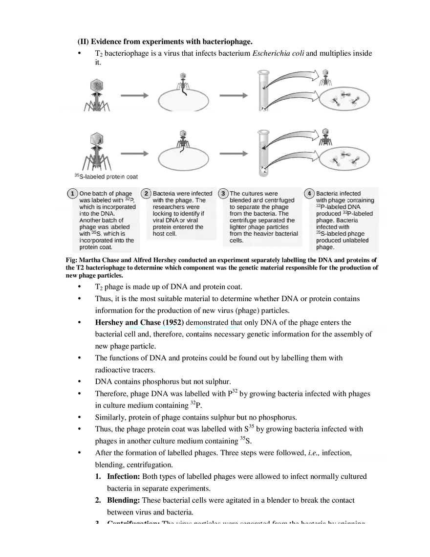 3  The Search for Genetic Material - Page 4