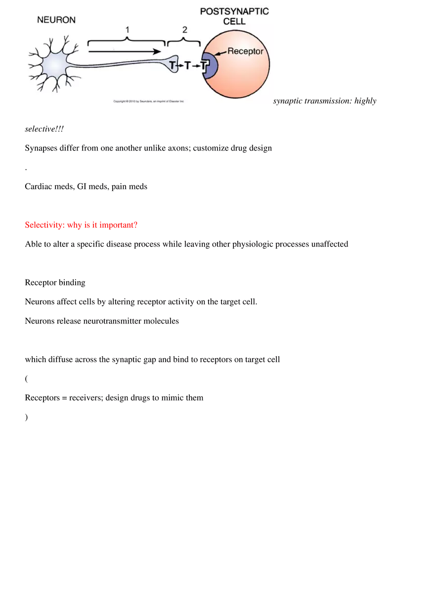 Week 2 Notes PNS Lecture - Page 2