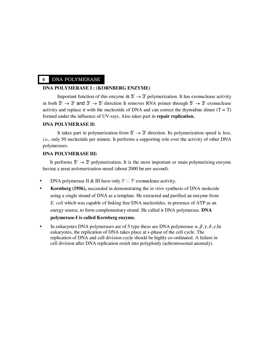6  DNA Polymerase - Page 1