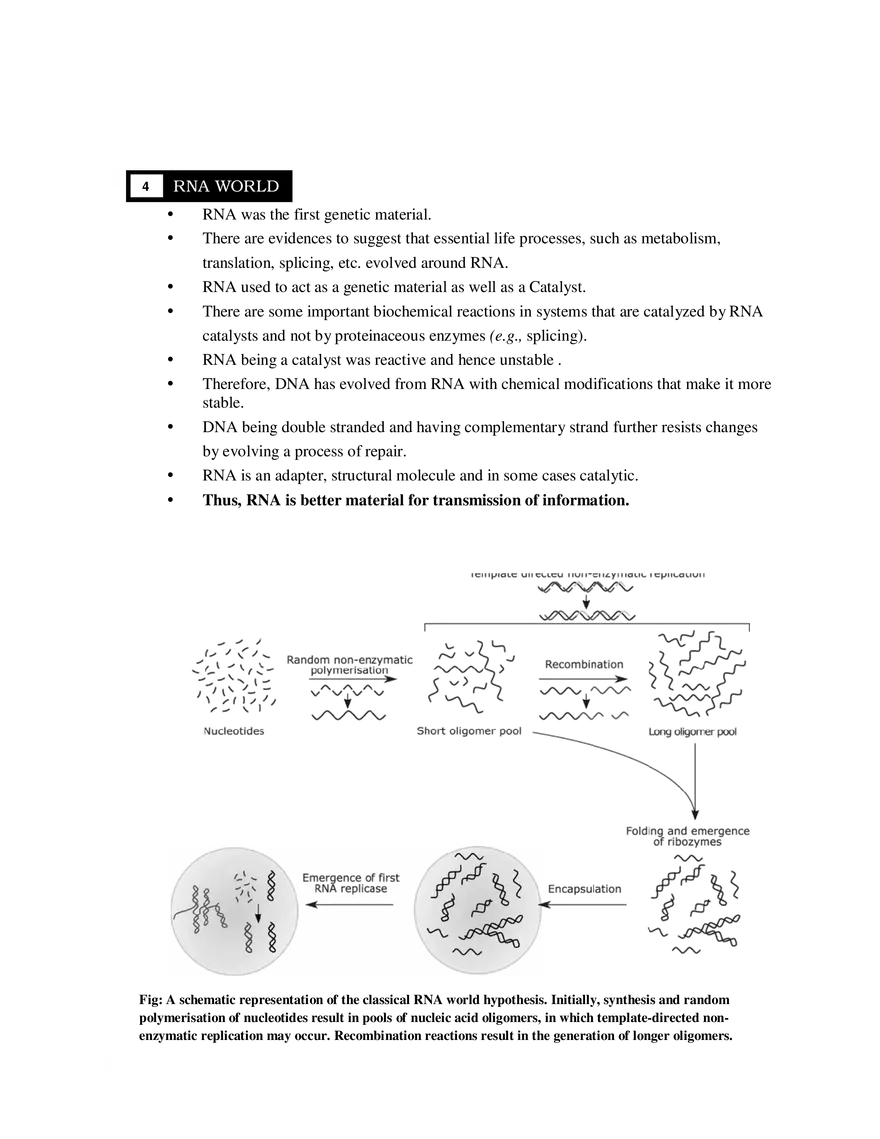4  RNA World - Page 1
