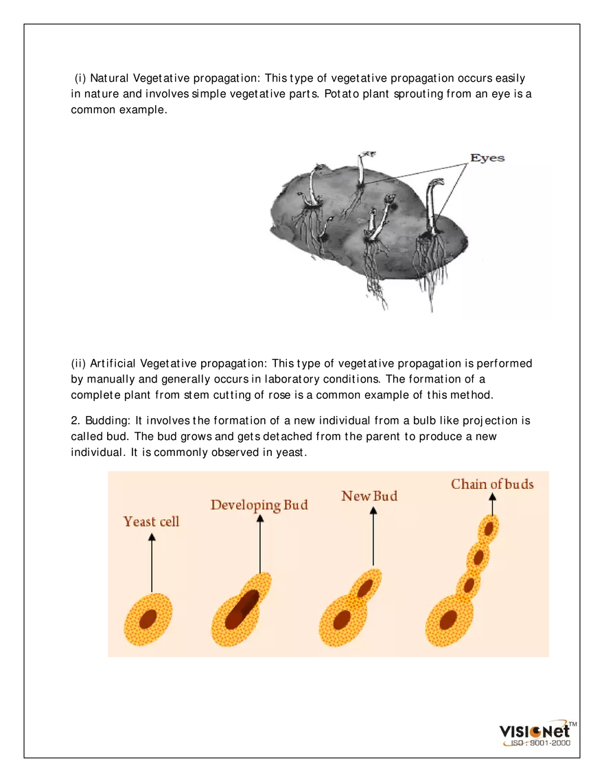 Reproduction in Plants Exercise - Page 2