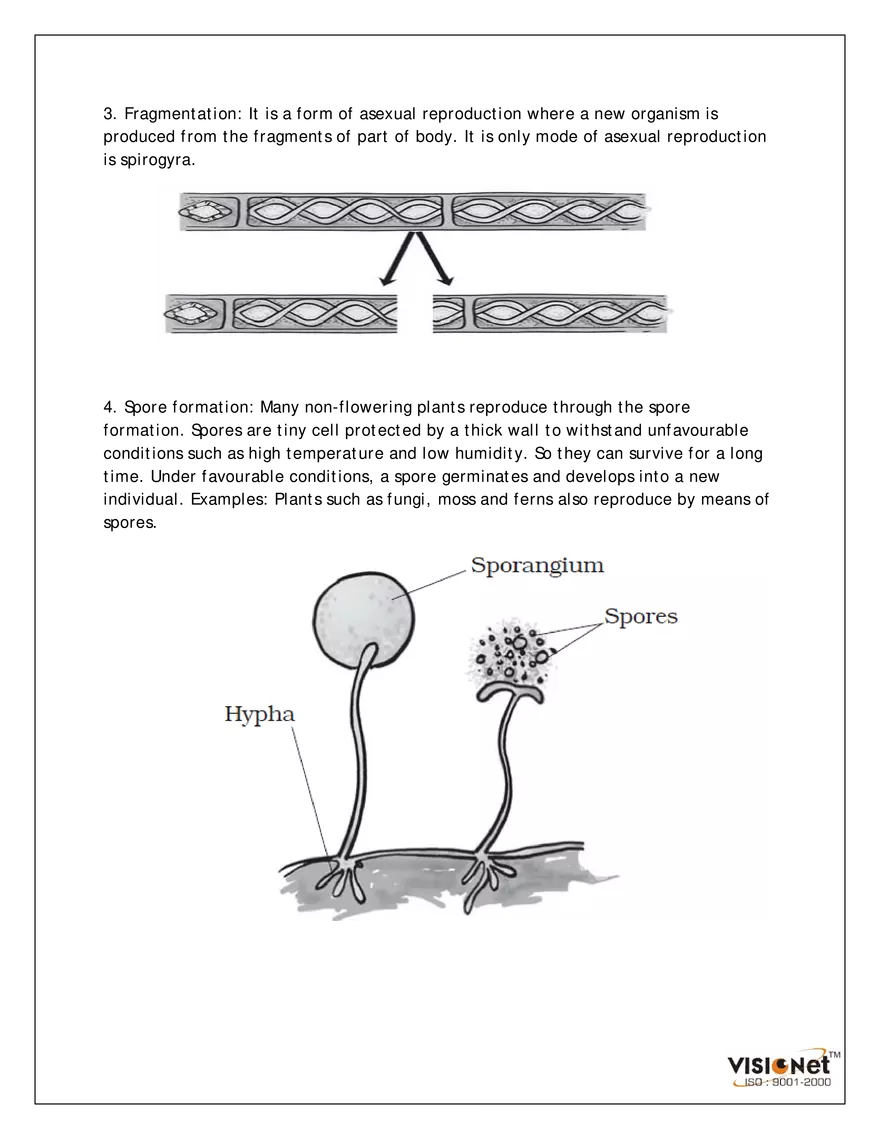 Reproduction in Plants Exercise - Page 3