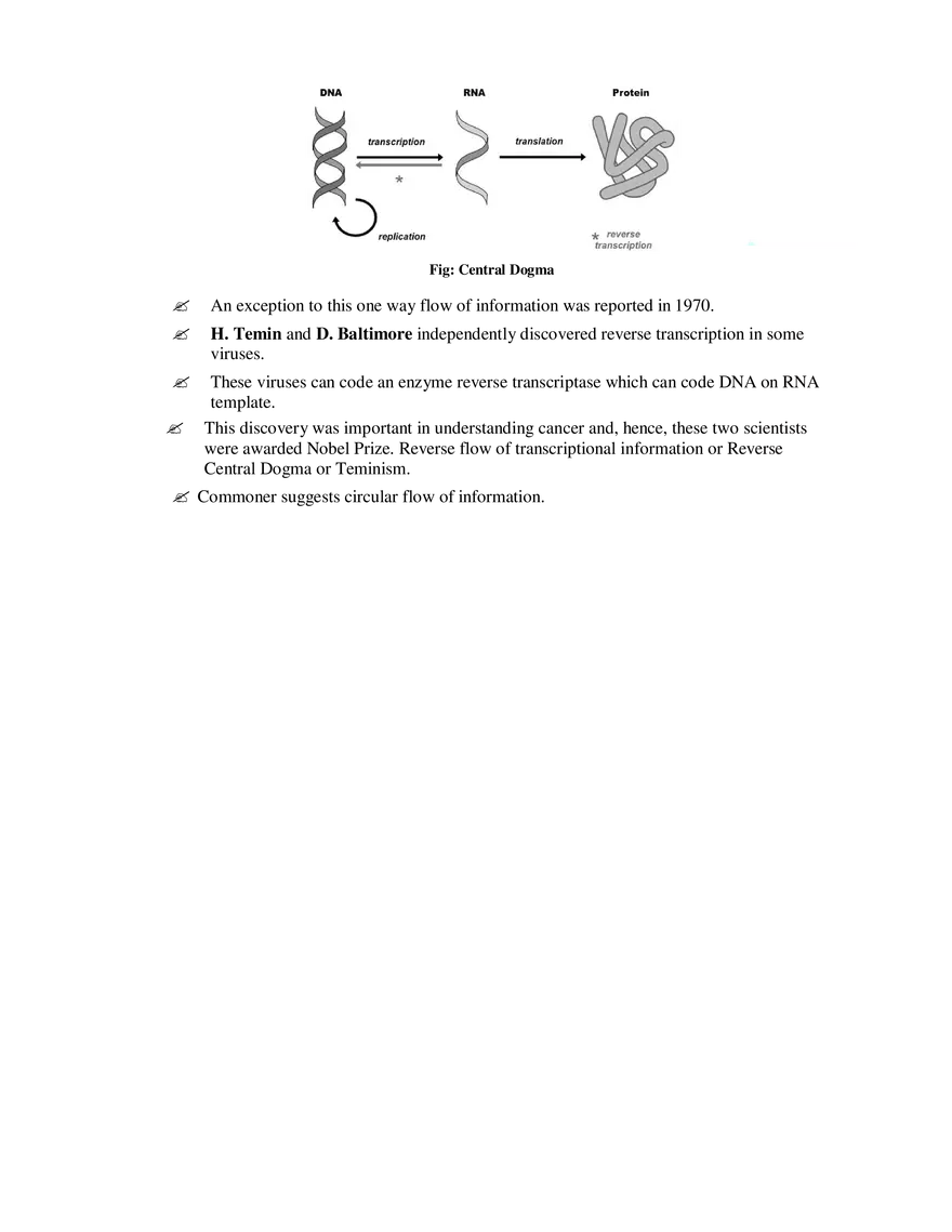 8  Gene Expression - Page 2