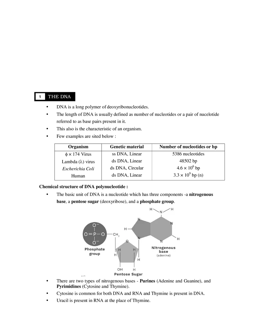 1  The DNA - Page 1