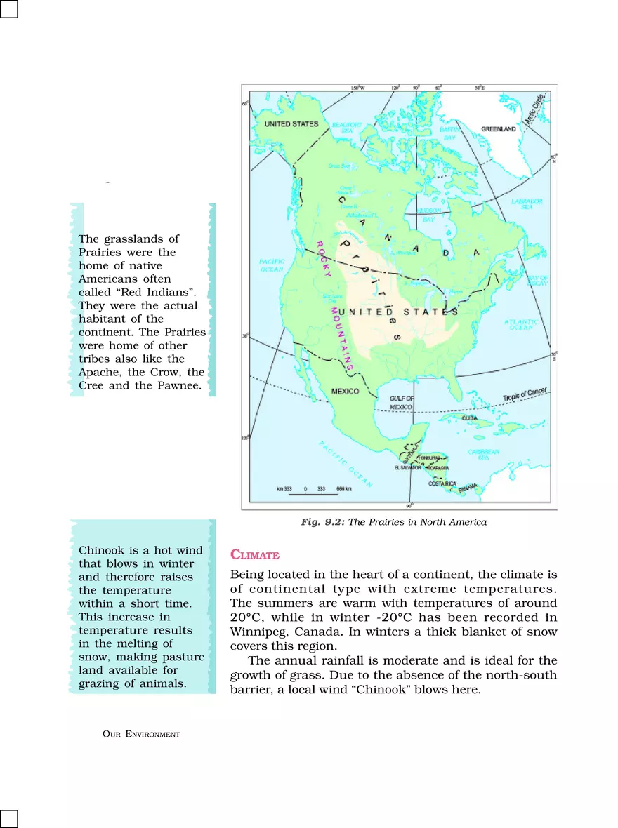 Life in the Temperate Grasslands - Page 2