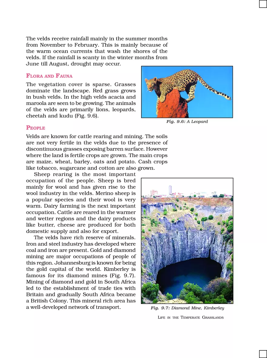 Life in the Temperate Grasslands - Page 5