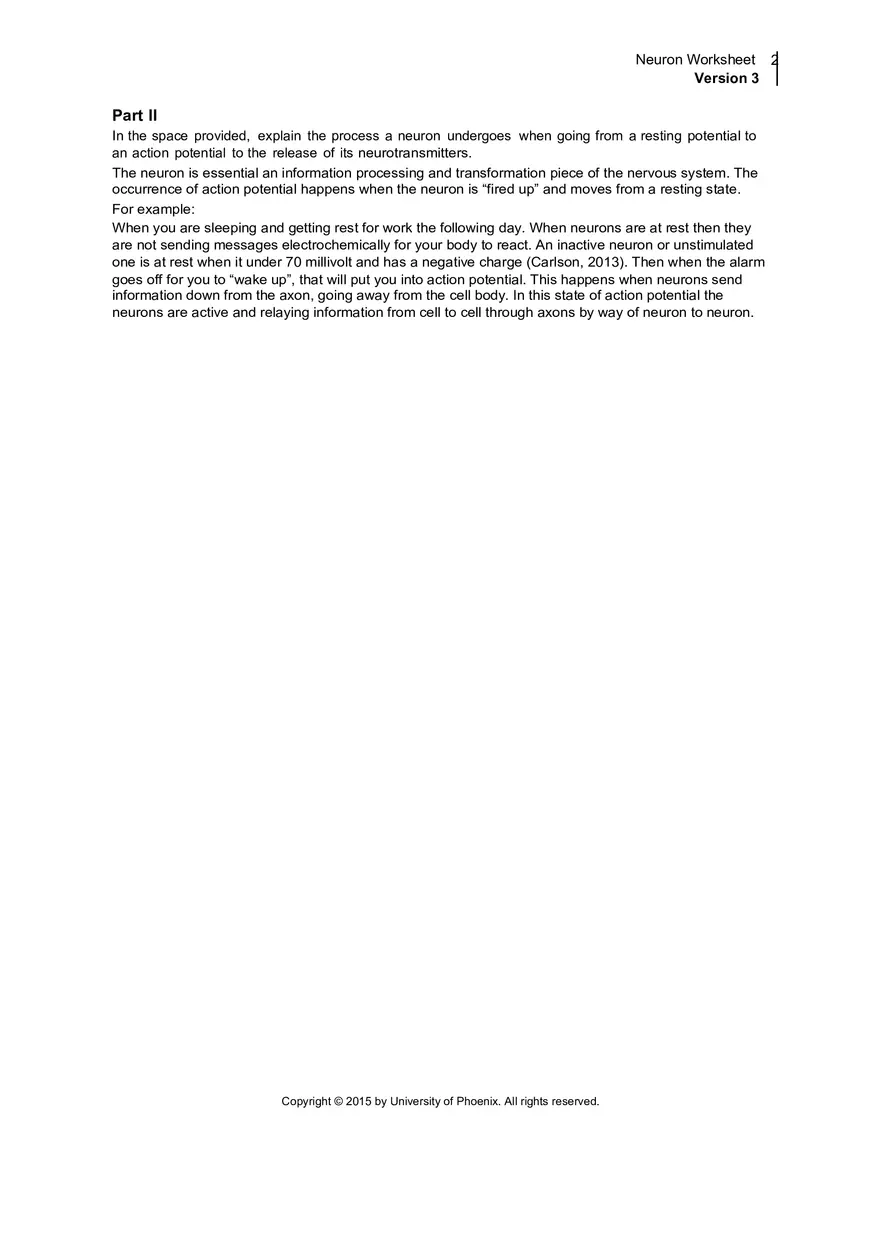 Neuron Worksheet Version 3 - Page 2