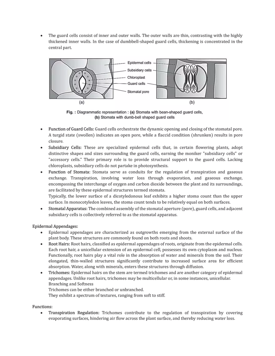 The Tissue System - Page 2