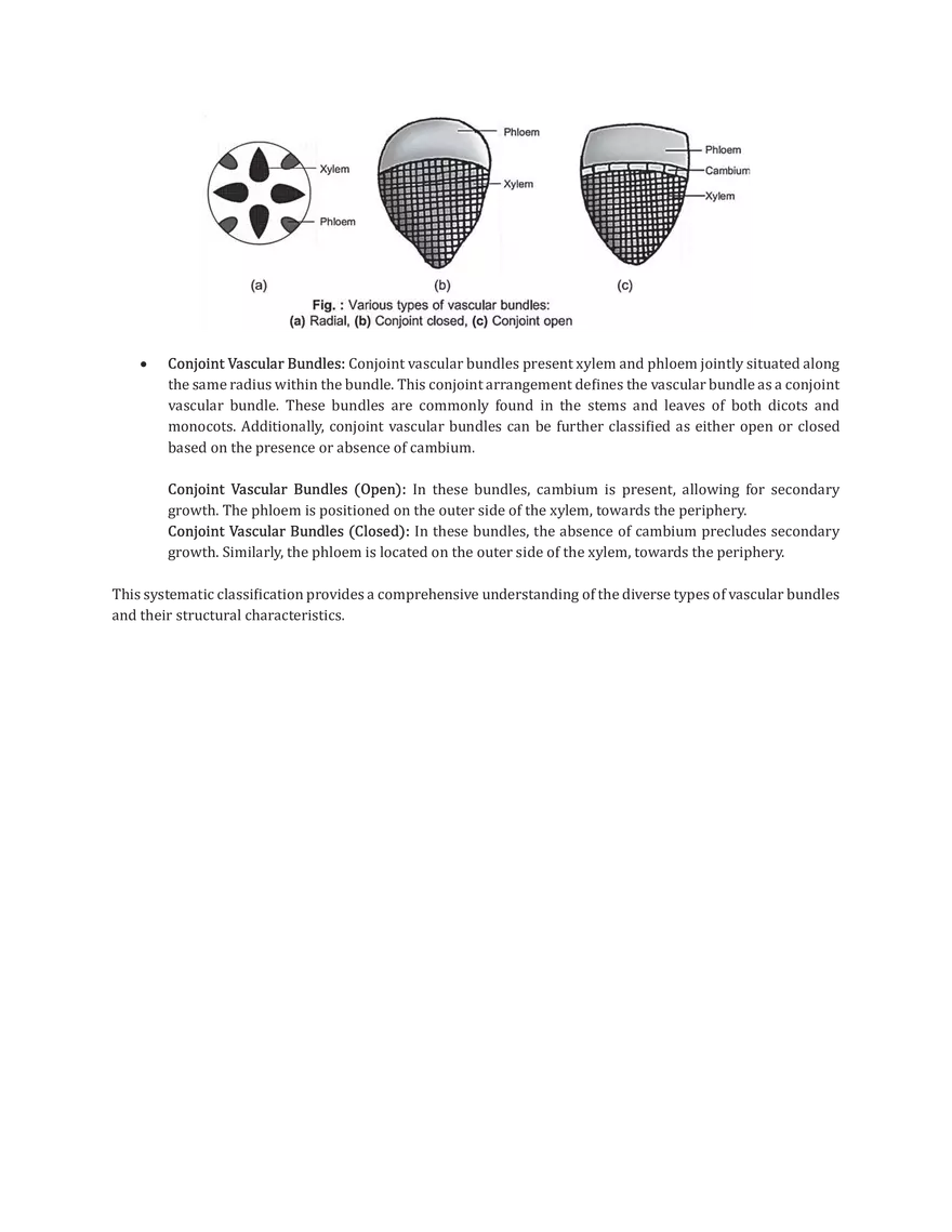 The Tissue System - Page 6