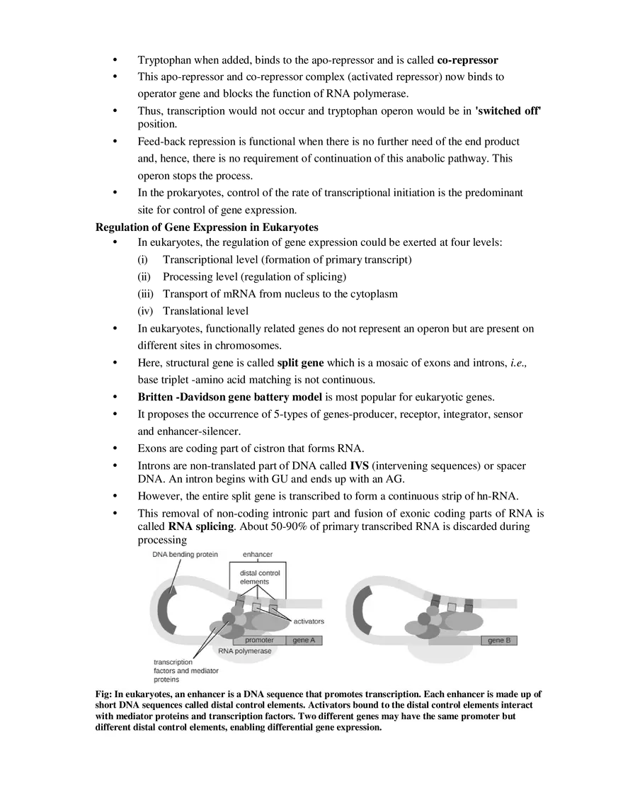 10-11  Regulation of Gene Expression - Page 6