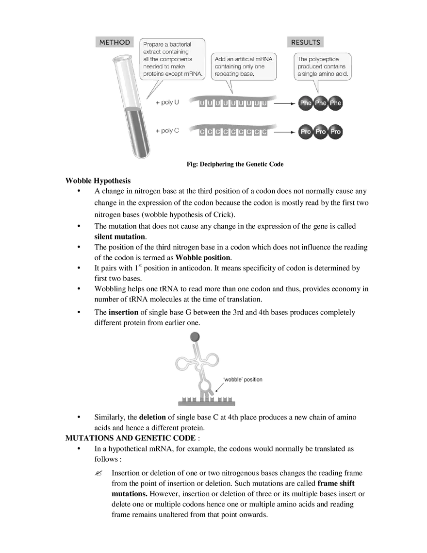 9  Mechanism of Protein Synthesis - Page 13
