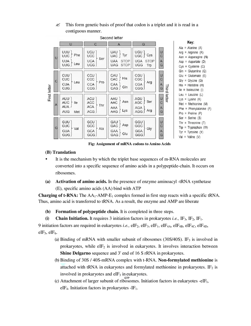 9  Mechanism of Protein Synthesis - Page 14