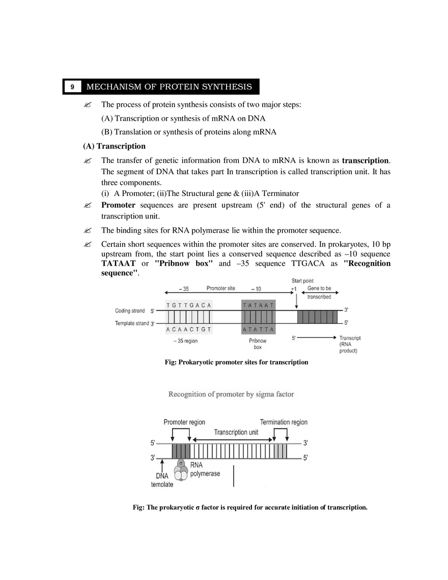 9  Mechanism of Protein Synthesis - Page 1