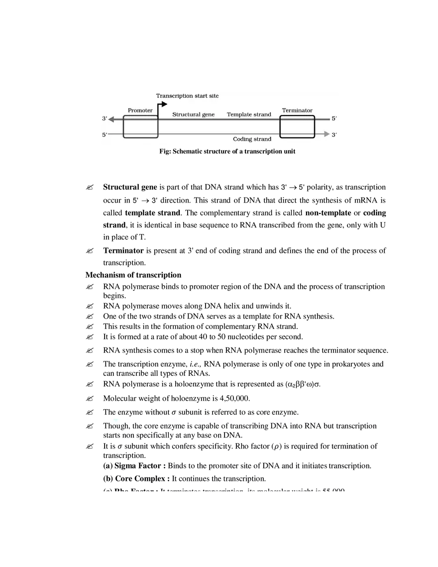9  Mechanism of Protein Synthesis - Page 2