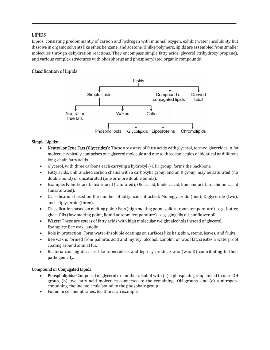 Lipids Notes - Page 1