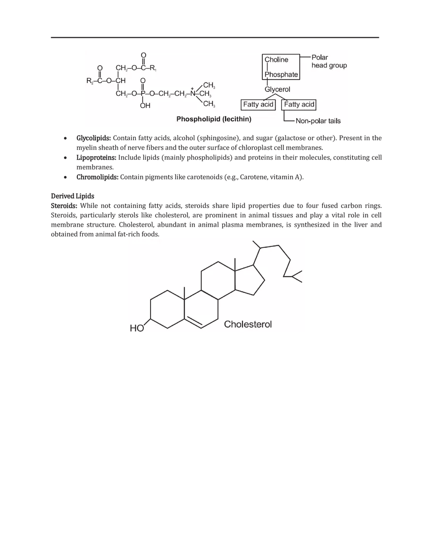 Lipids Notes - Page 2