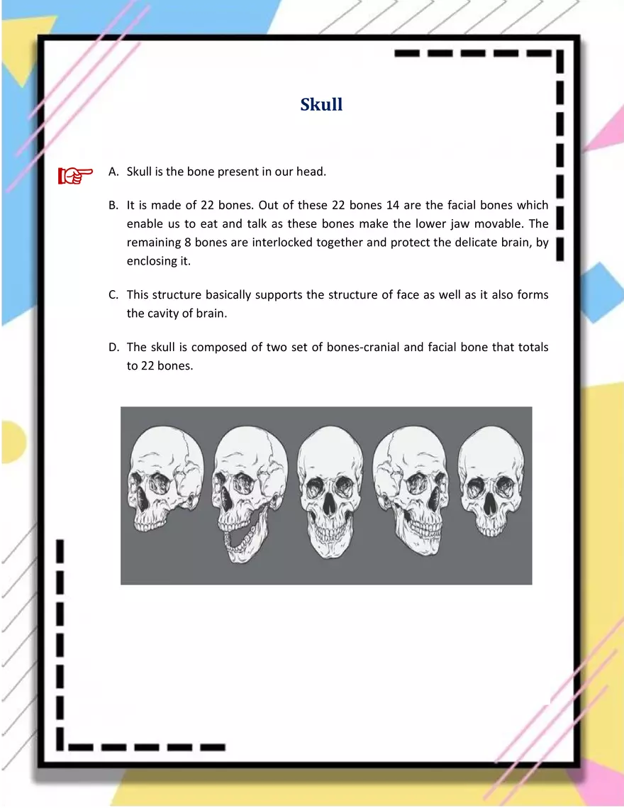 Skull Cheat Sheet - Page 1