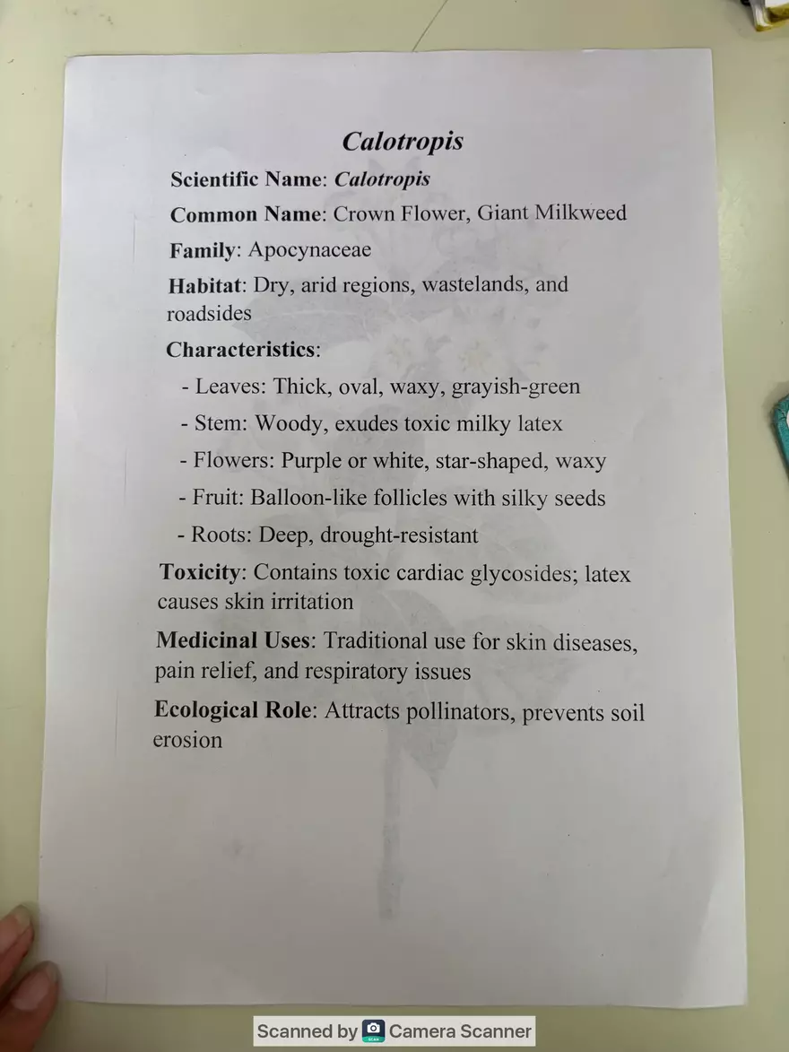 Ecological Pyramid - Page 7