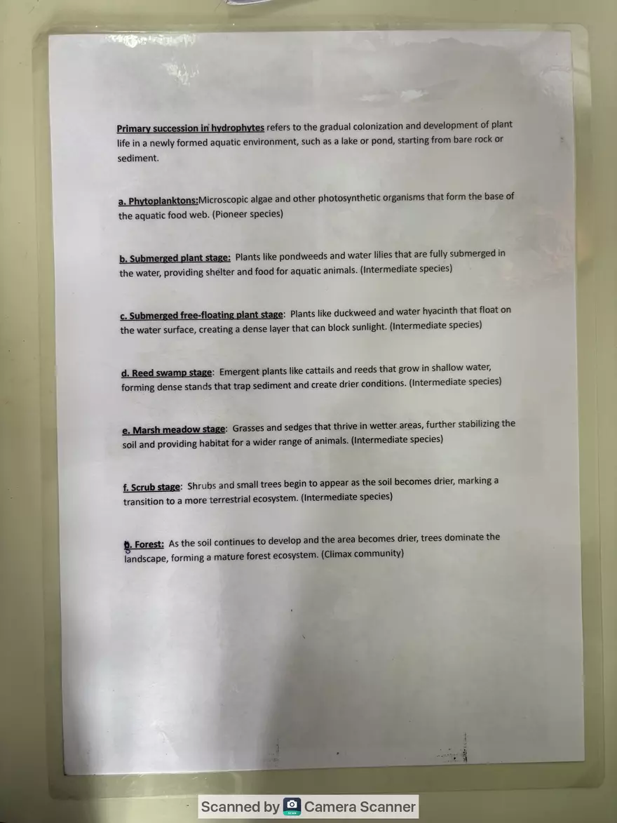 Ecological Pyramid - Page 9