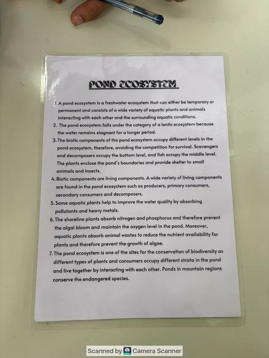 Ecological Pyramid - Page 11