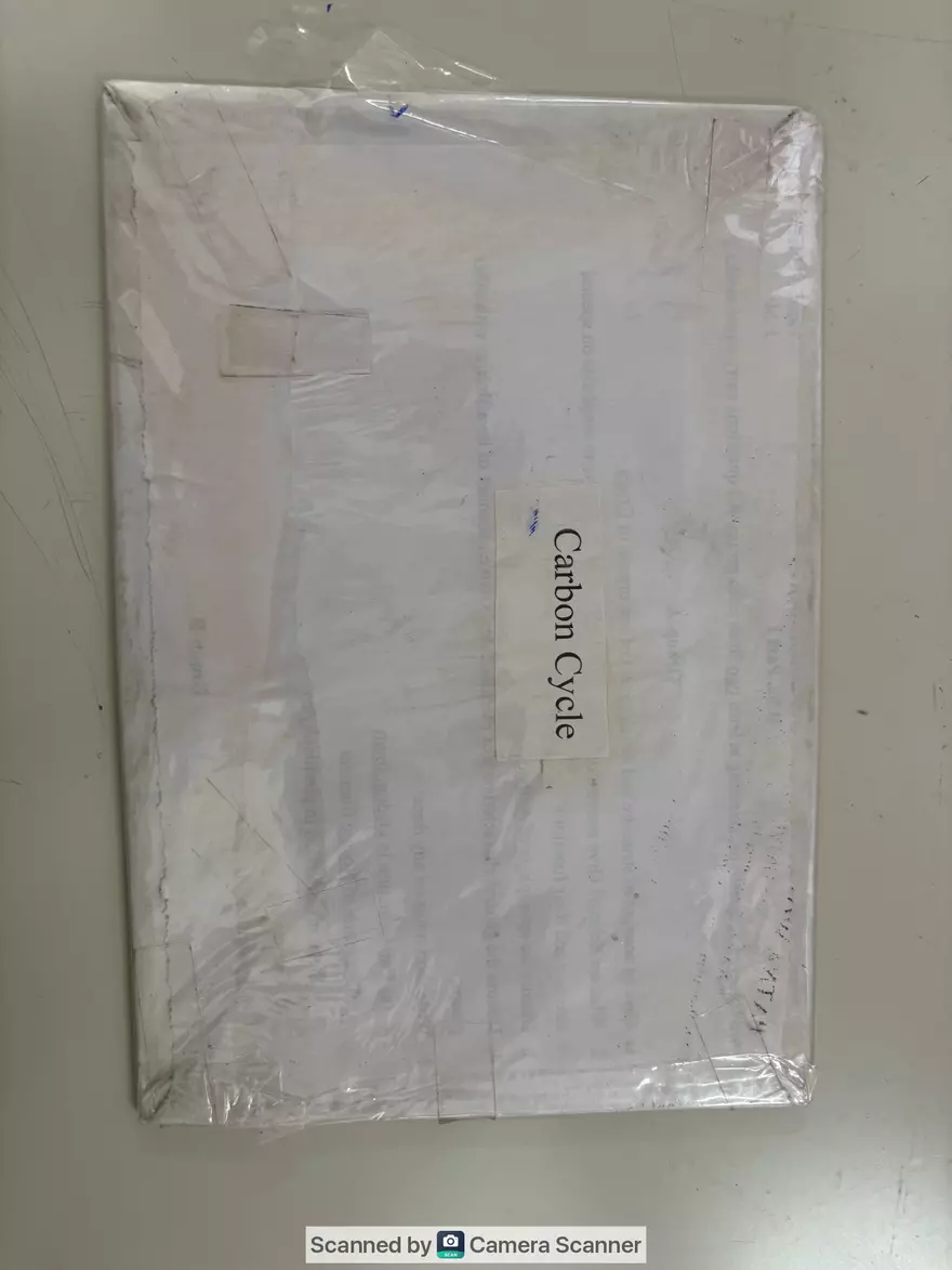 Ecological Pyramid - Page 16