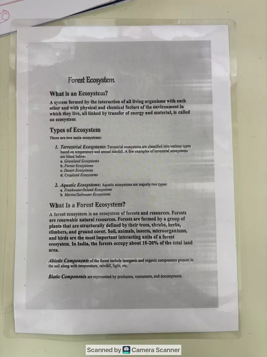 Ecological Pyramid - Page 17