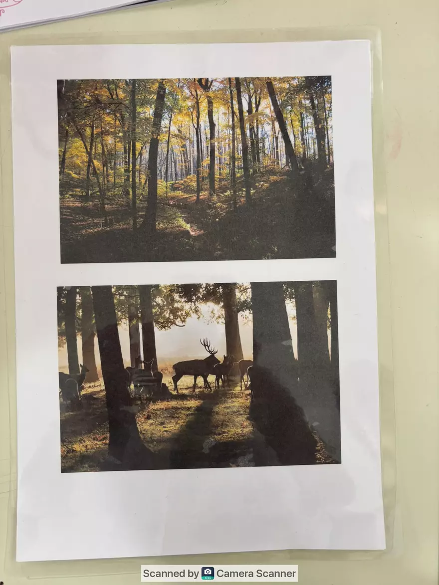 Ecological Pyramid - Page 18