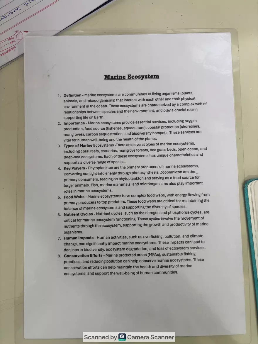 Ecological Pyramid - Page 19