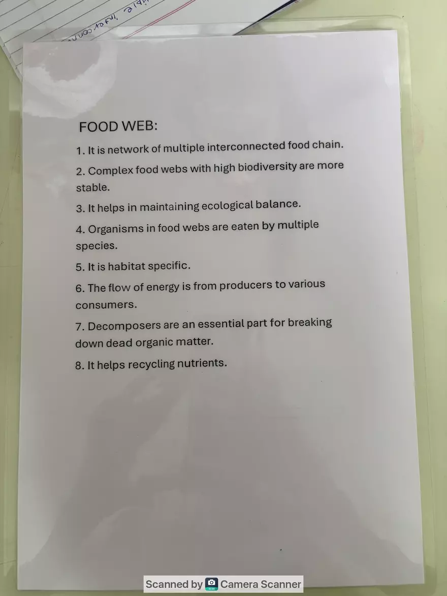 Ecological Pyramid - Page 21