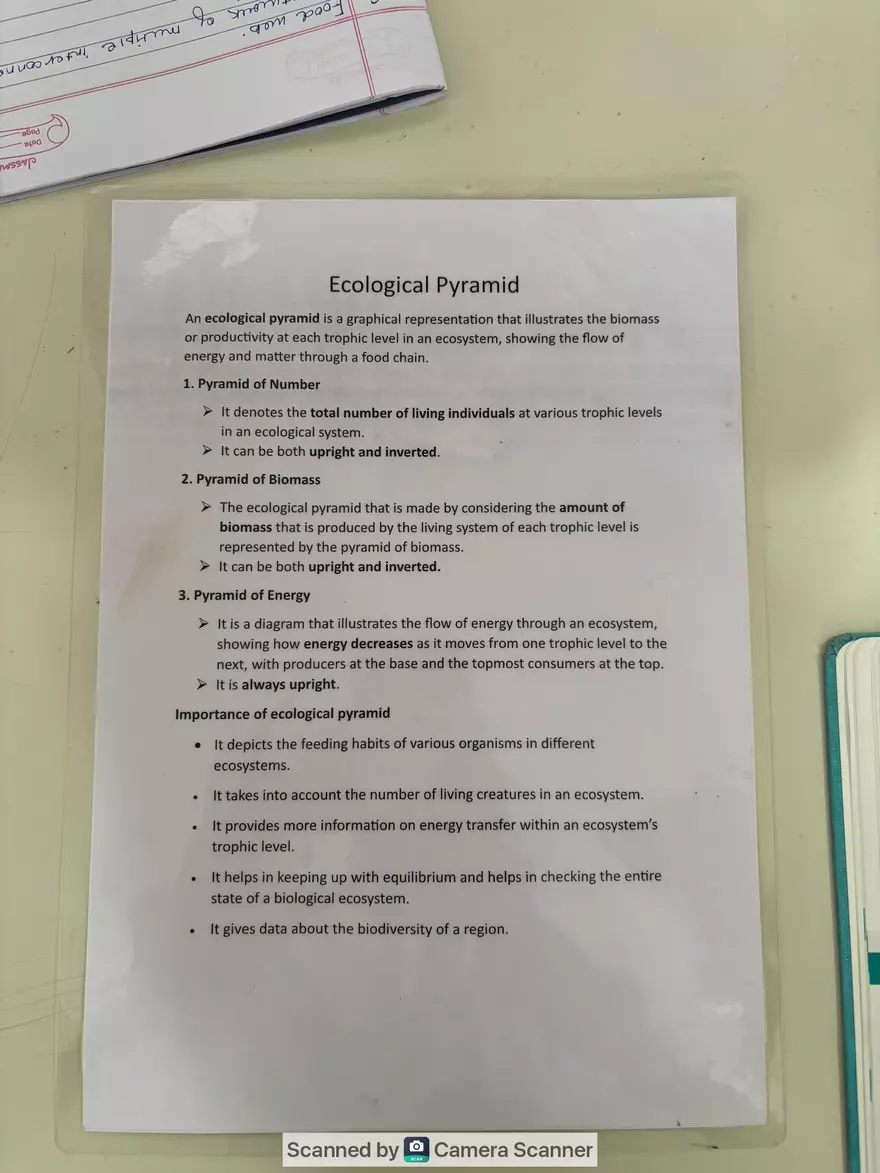 Ecological Pyramid - Page 1