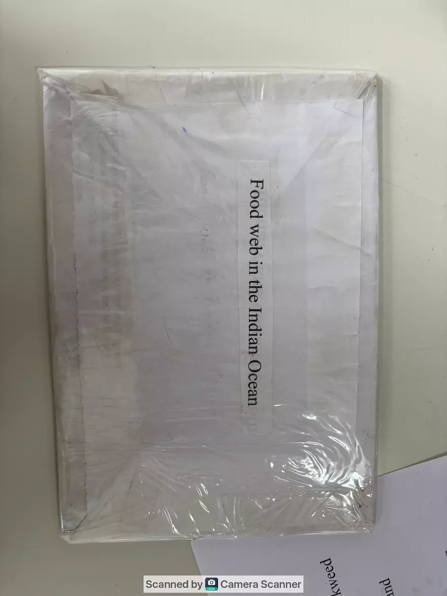 Ecological Pyramid - Page 4