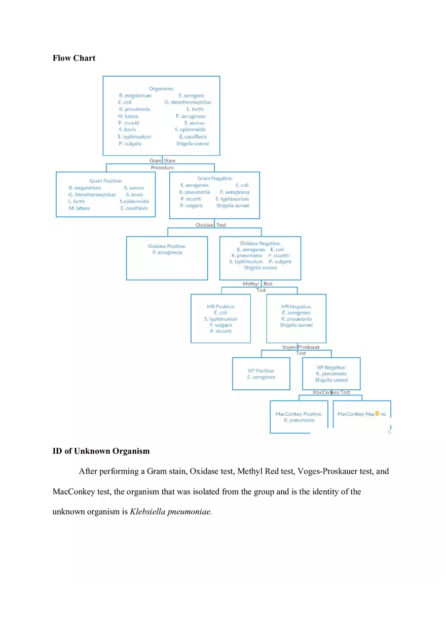 Microbiology Unknown Lab Report Example - Page 6