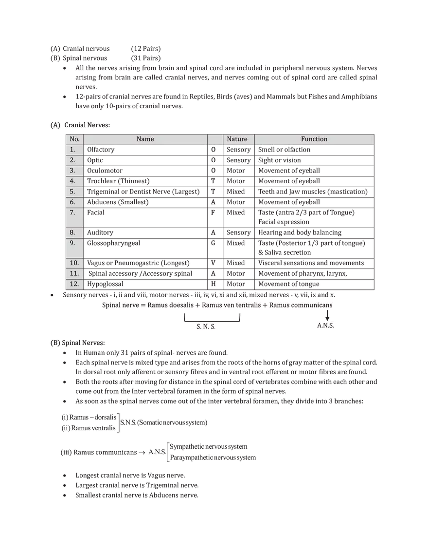 Central Neural System - Page 7