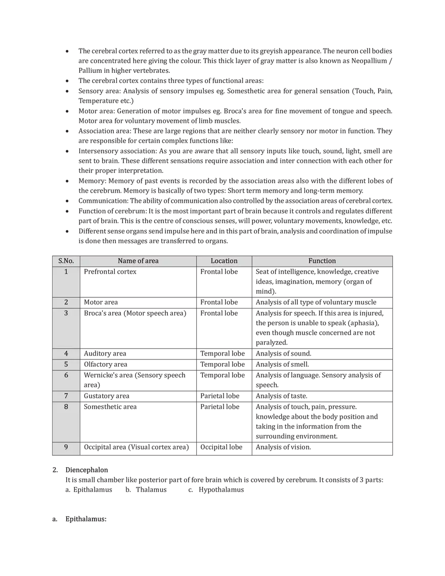 Central Neural System - Page 2