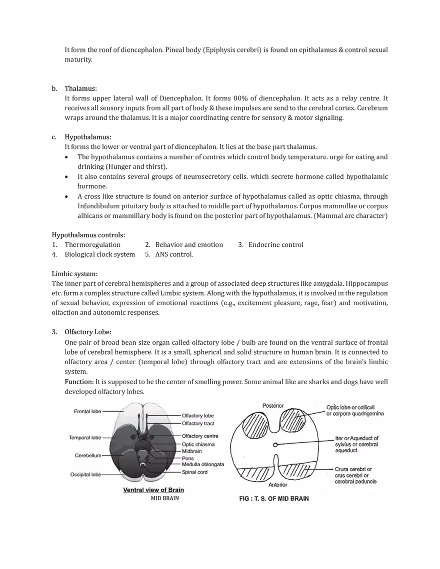 Central Neural System - Page 3
