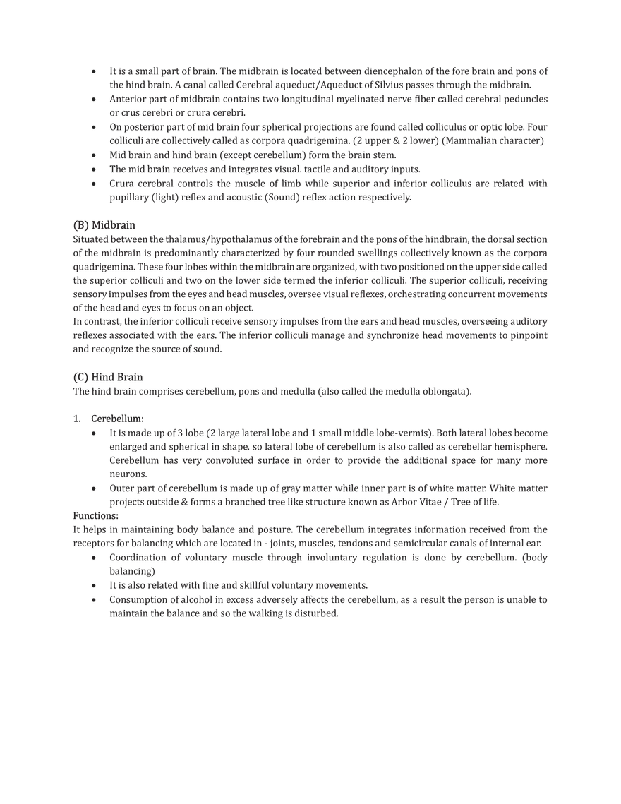 Central Neural System - Page 4