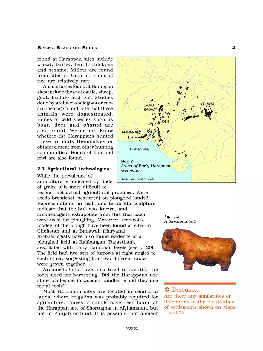 Bricks, Beads and Bones - Page 13