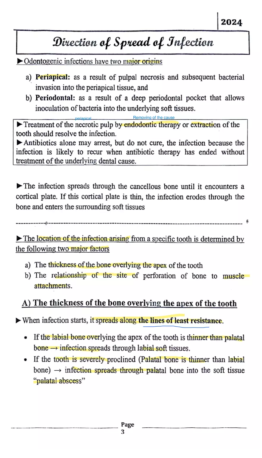 Odontogenic Infection 1 - Page 4