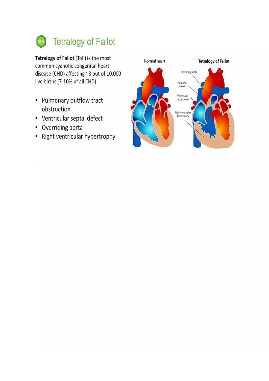 Pediatric Hesi Review - Page 6