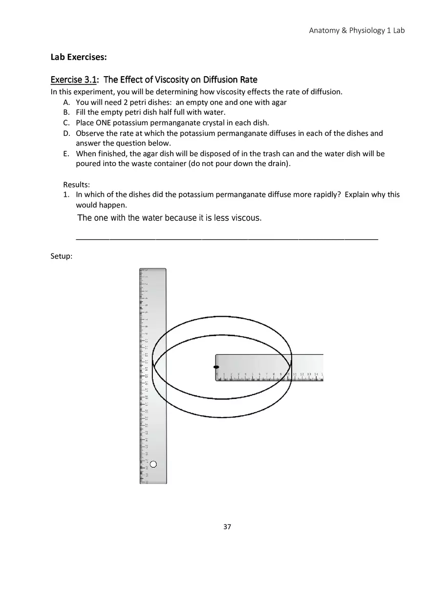 Lab 3 Cell Physiology Membrane Transport - Page 3