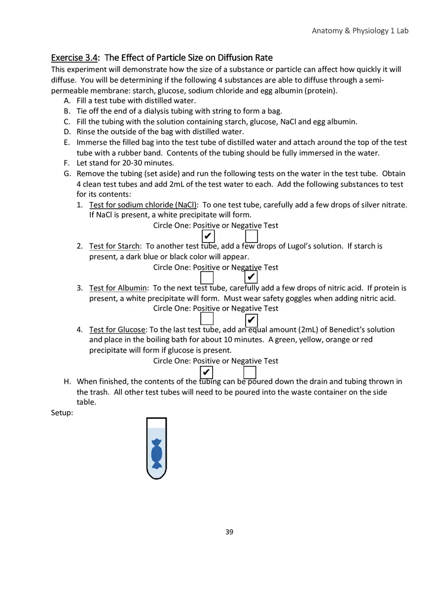 Lab 3 Cell Physiology Membrane Transport - Page 5