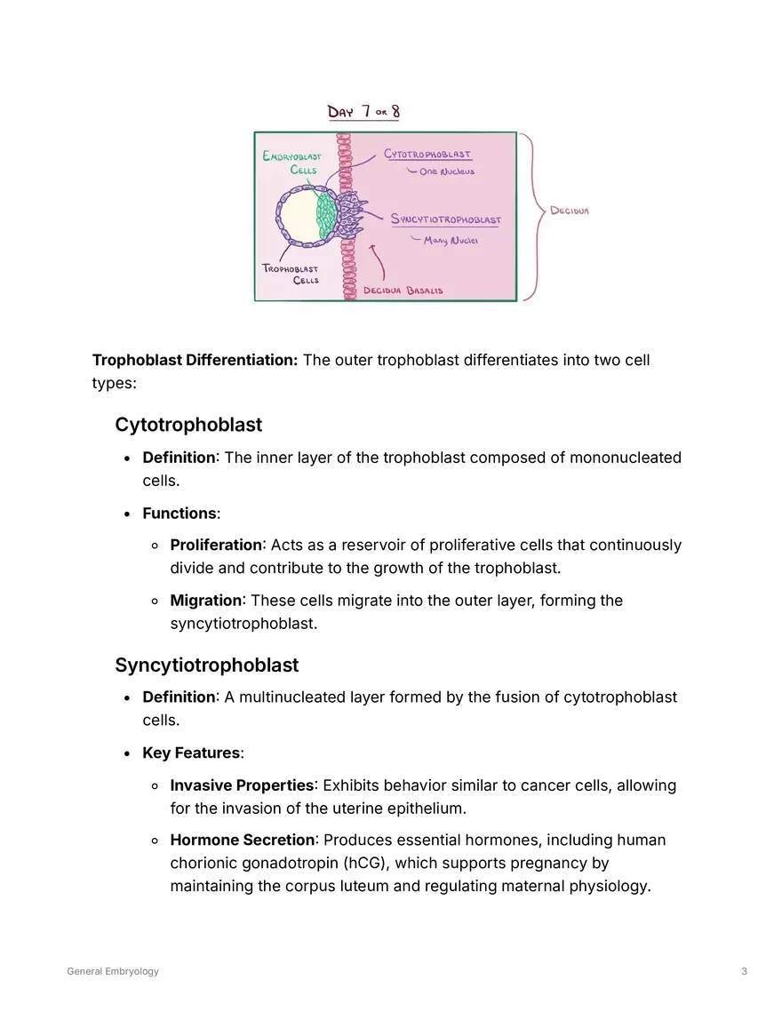 General Embryology - Page 3