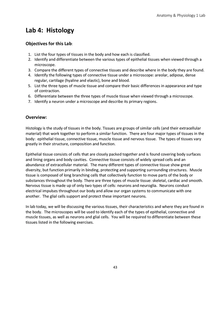 Lab 4 Histology - Page 1
