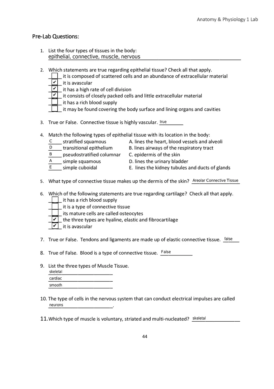 Lab 4 Histology - Page 2