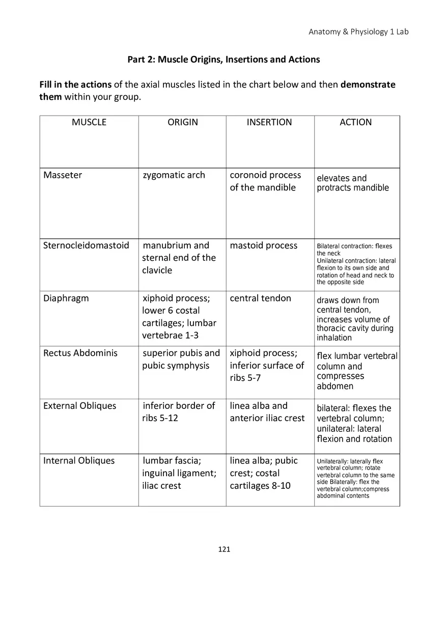 Lab 7 Muscular System Axial Muscles - Page 9