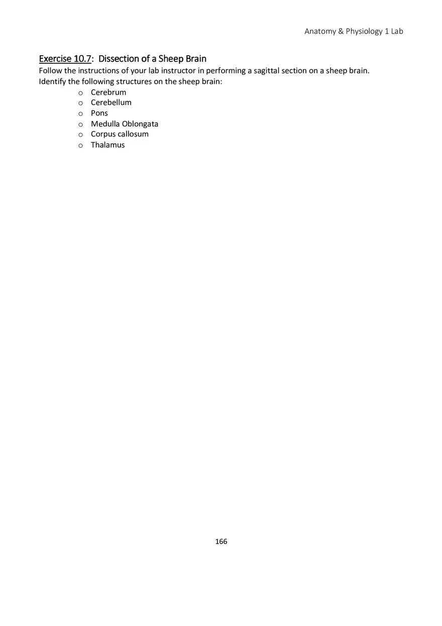 Lab 10 Nervous System Brain and Spinal Cord - Page 12